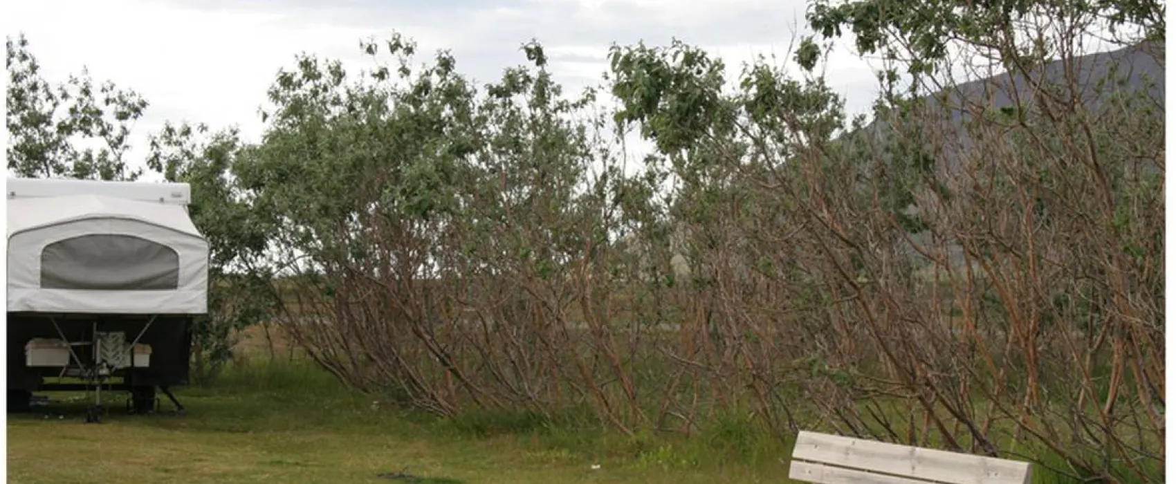 Hofsós campsite