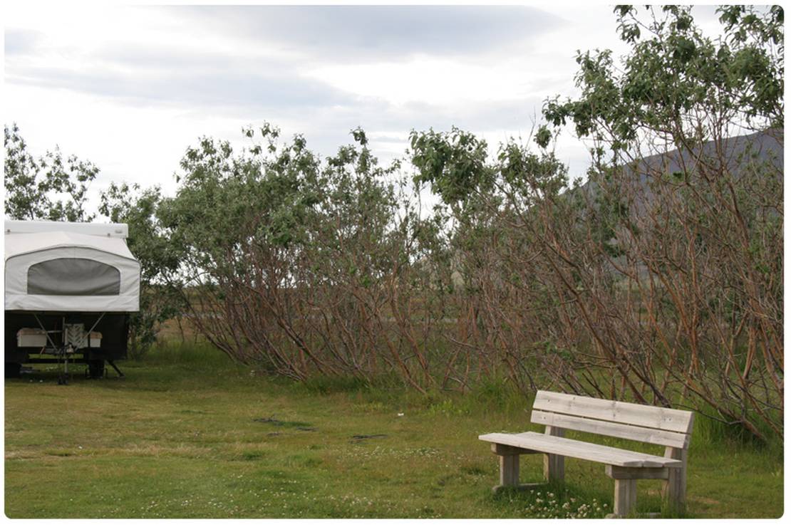 Hofsós campsite