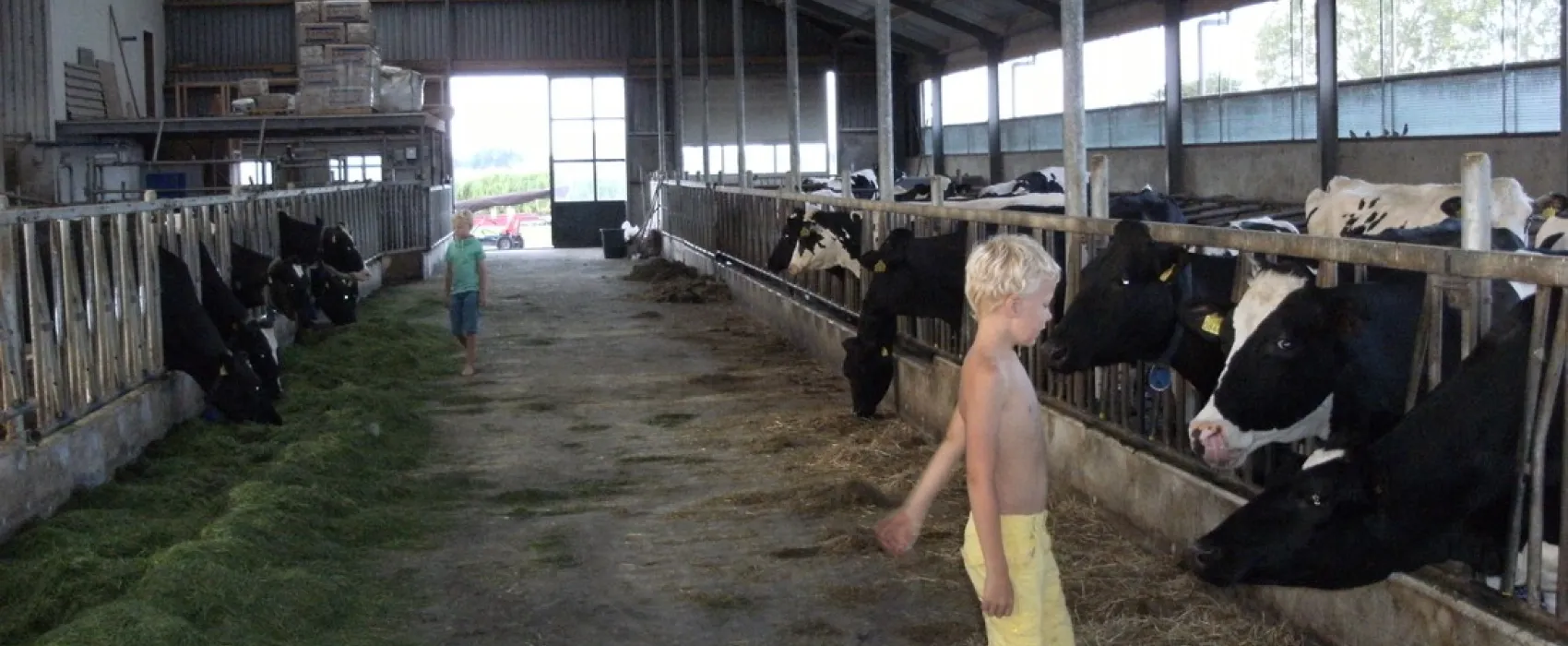 Minicamping De Oosthoek