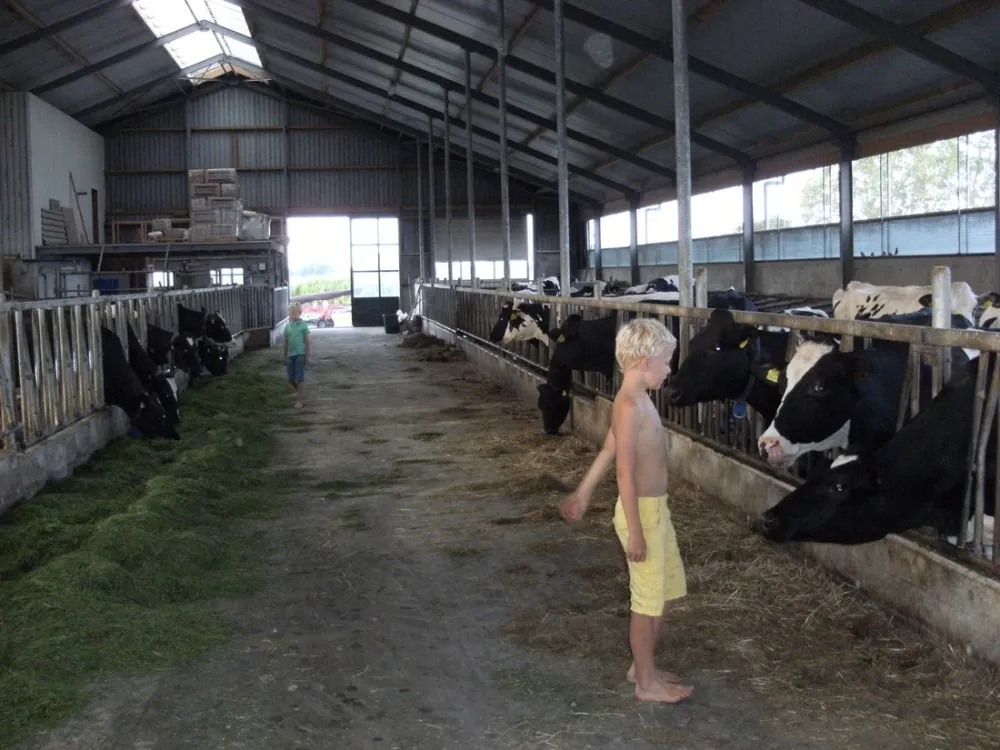 Minicamping De Oosthoek