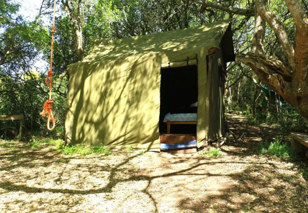 Platbos Forest Cabins