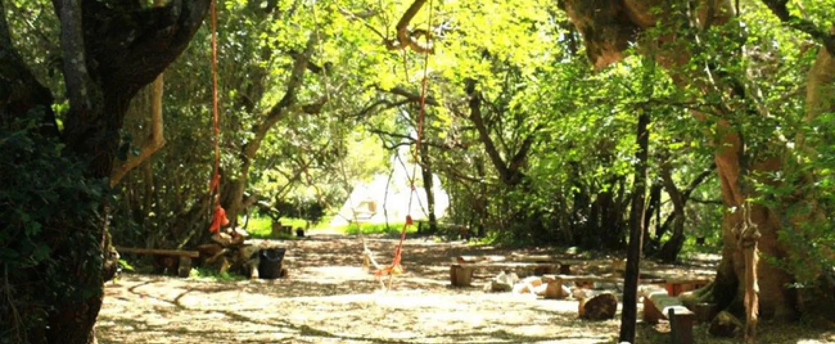 Platbos Forest Cabins