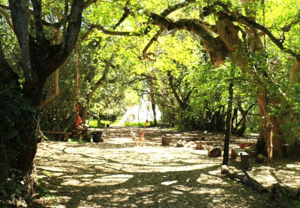 Platbos Forest Cabins