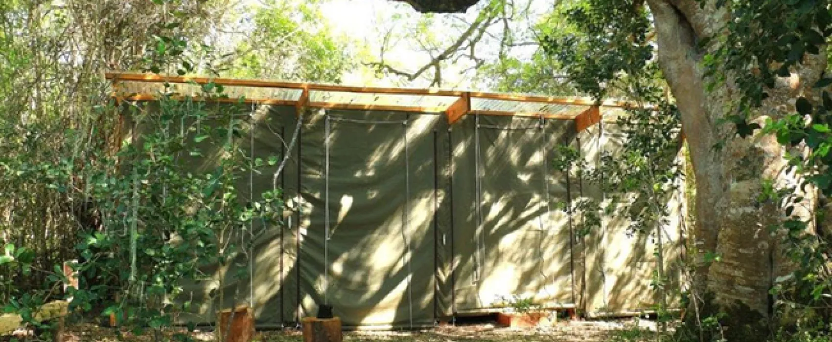 Platbos Forest Cabins