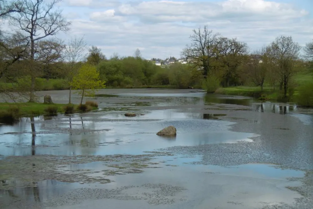 L'Etang Du Camp