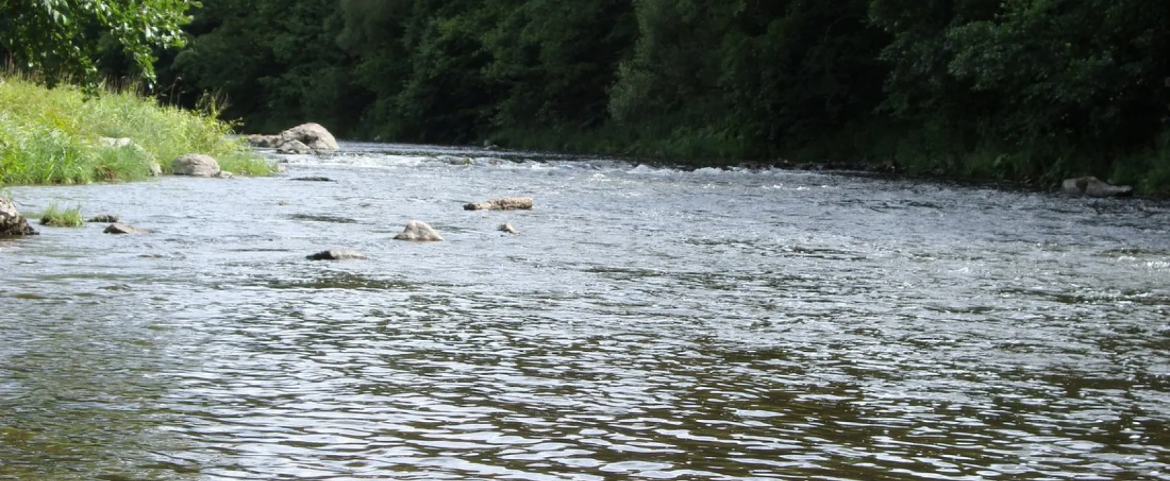 Municipal Rapides de Phades