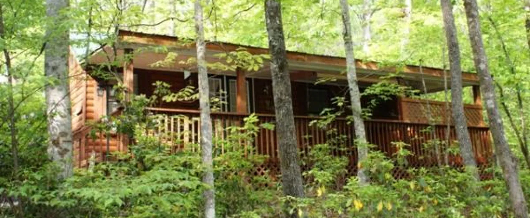 Solitude Pointe Cabins and Camping