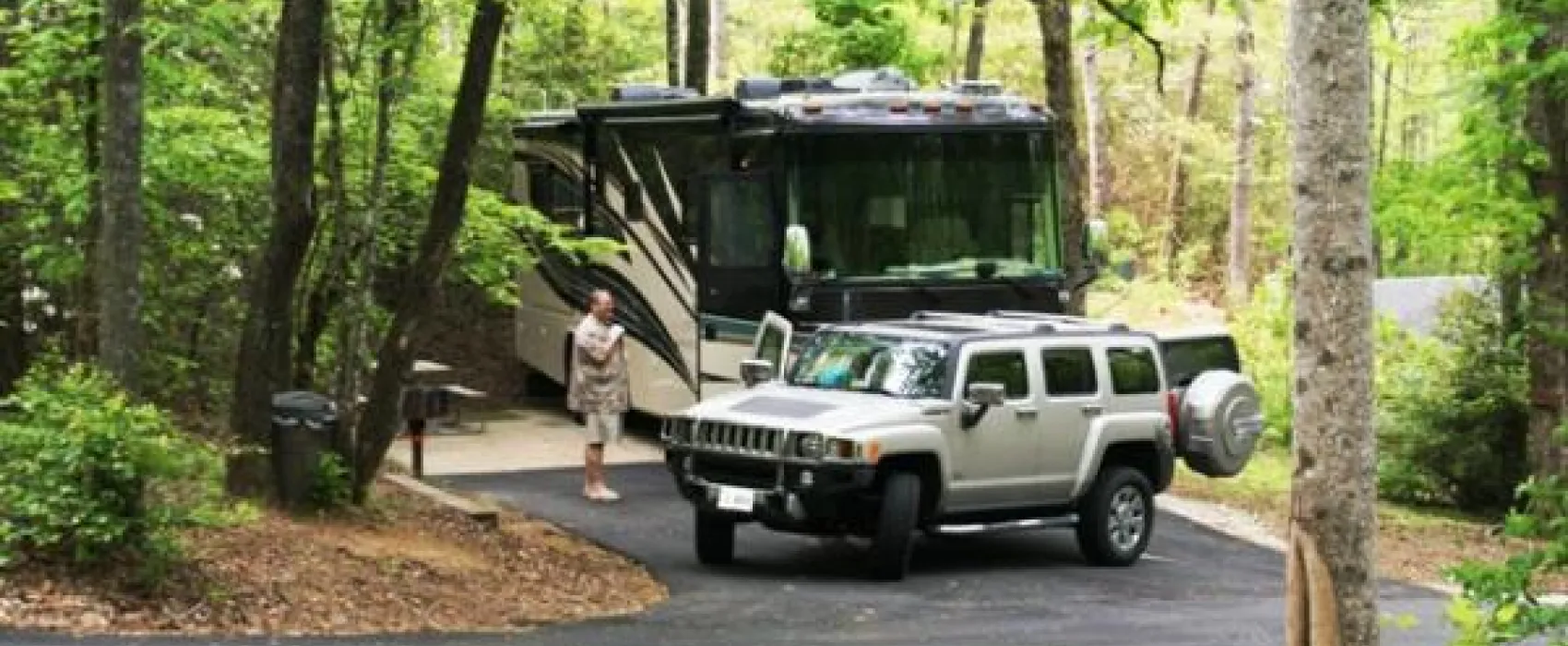 Solitude Pointe Cabins and Camping