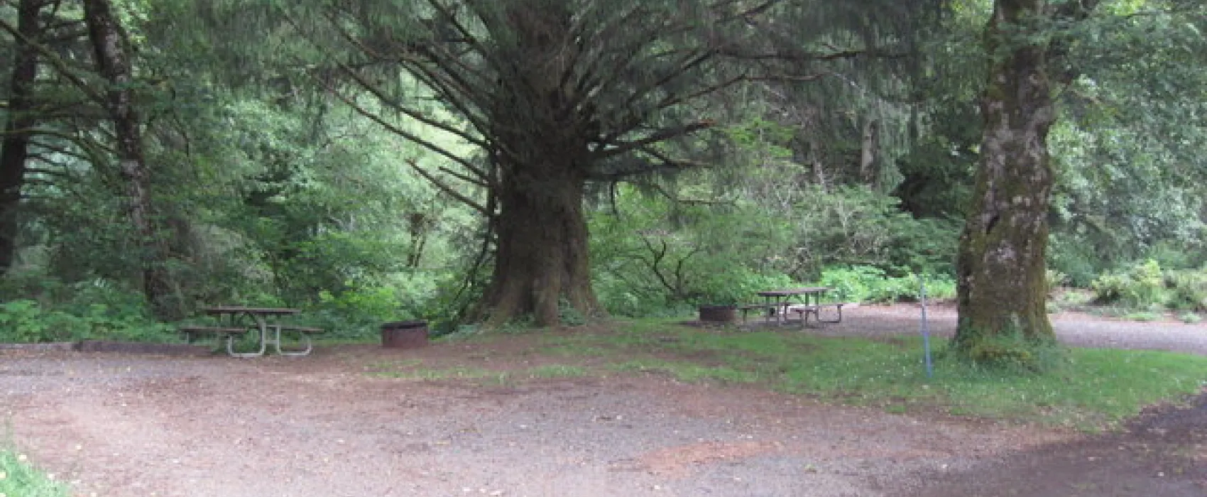 Kilchis River Campground