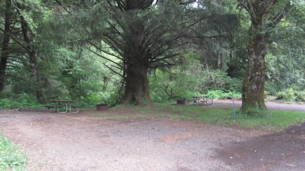 Kilchis River Campground