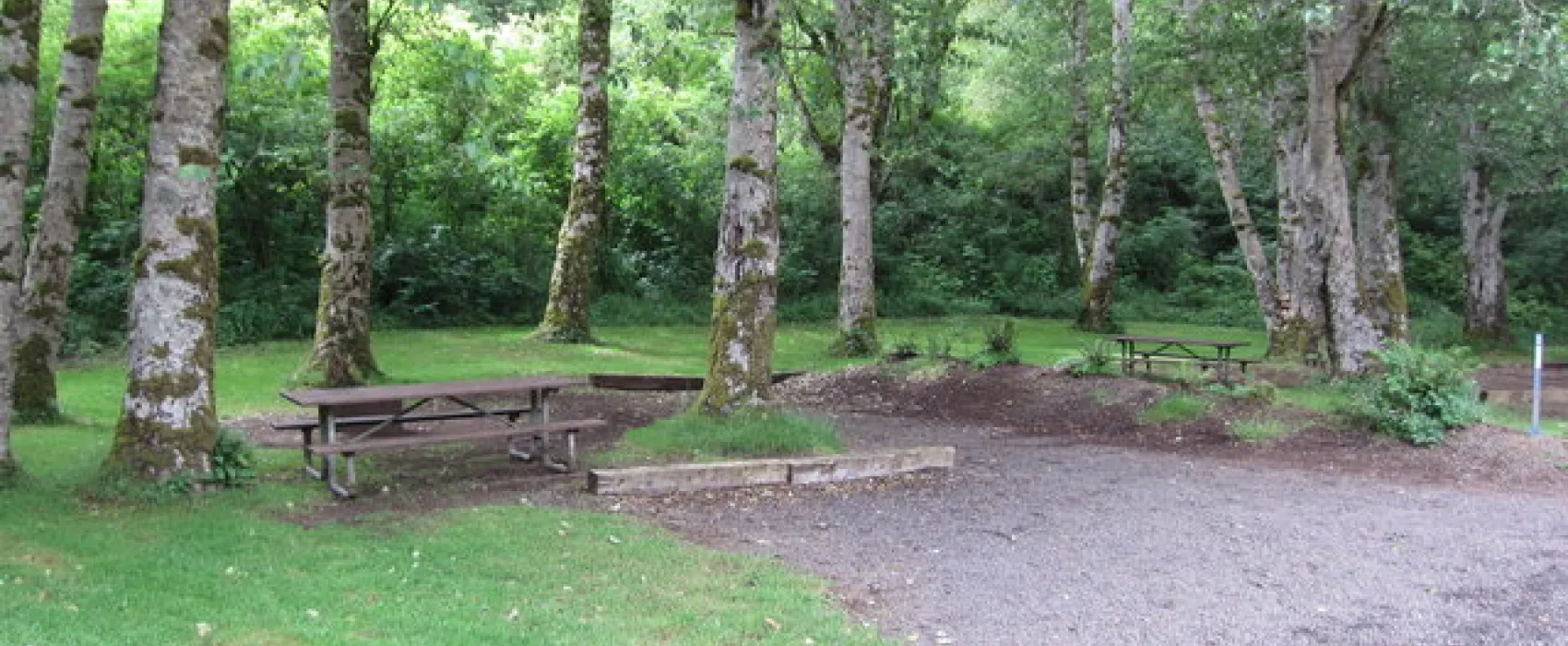 Kilchis River Campground