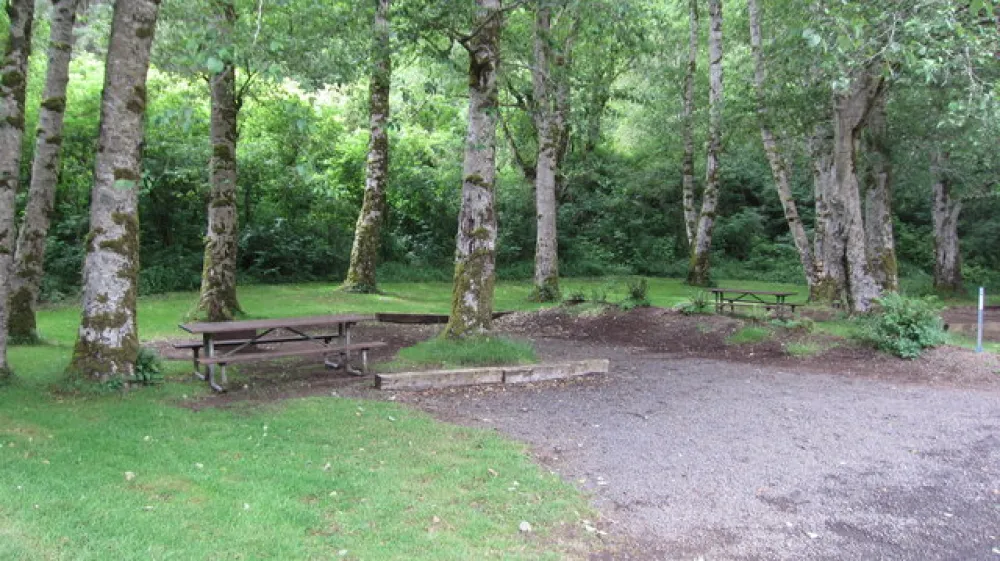 Kilchis River Campground