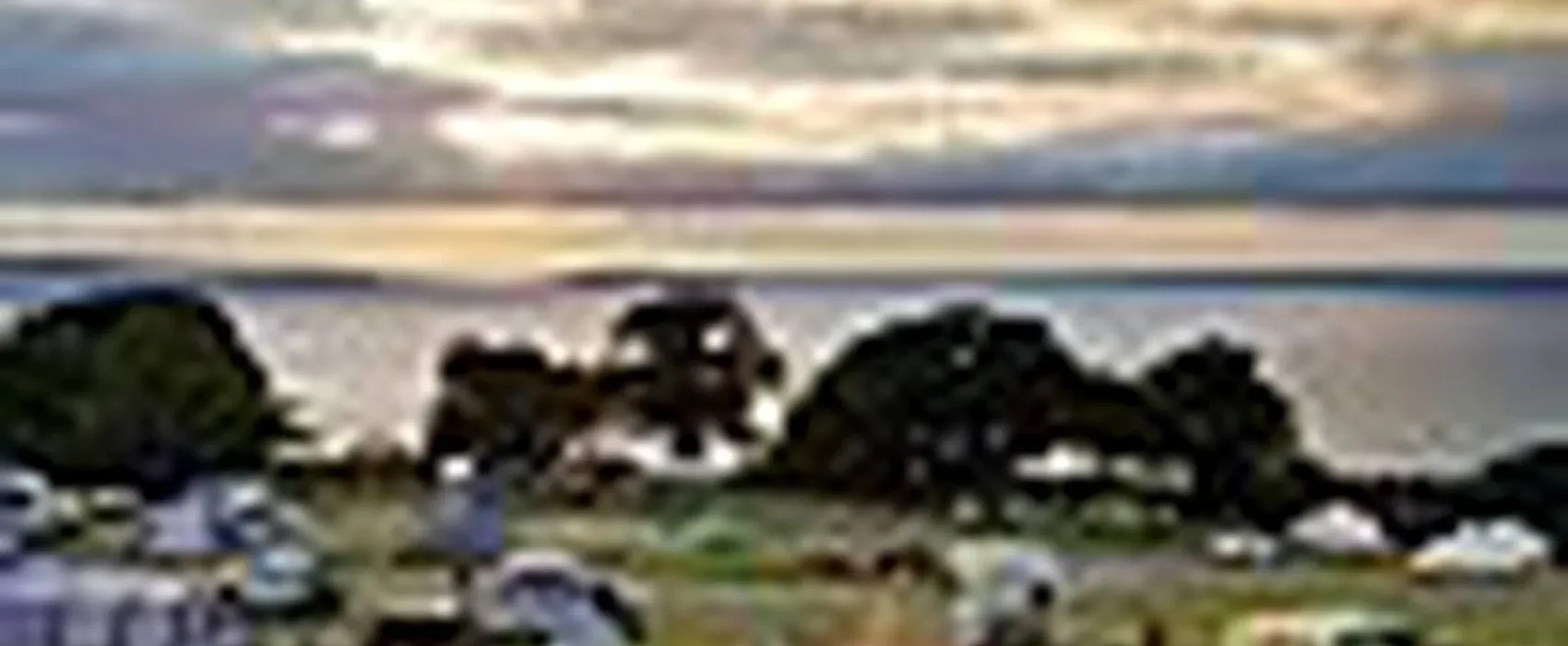 Trwyn yr Wylfa Camping Site