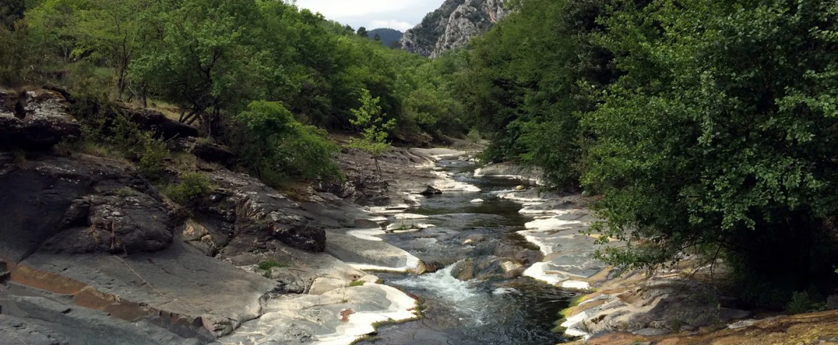 Domaine Sainte Madeleine