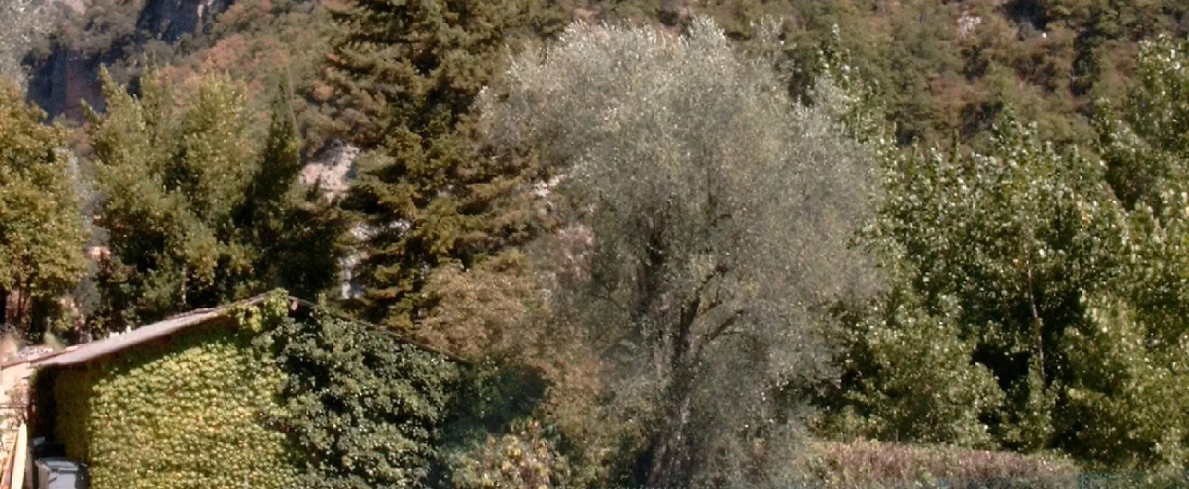 Domaine Sainte Madeleine