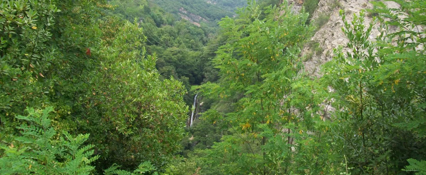 Domaine Sainte Madeleine