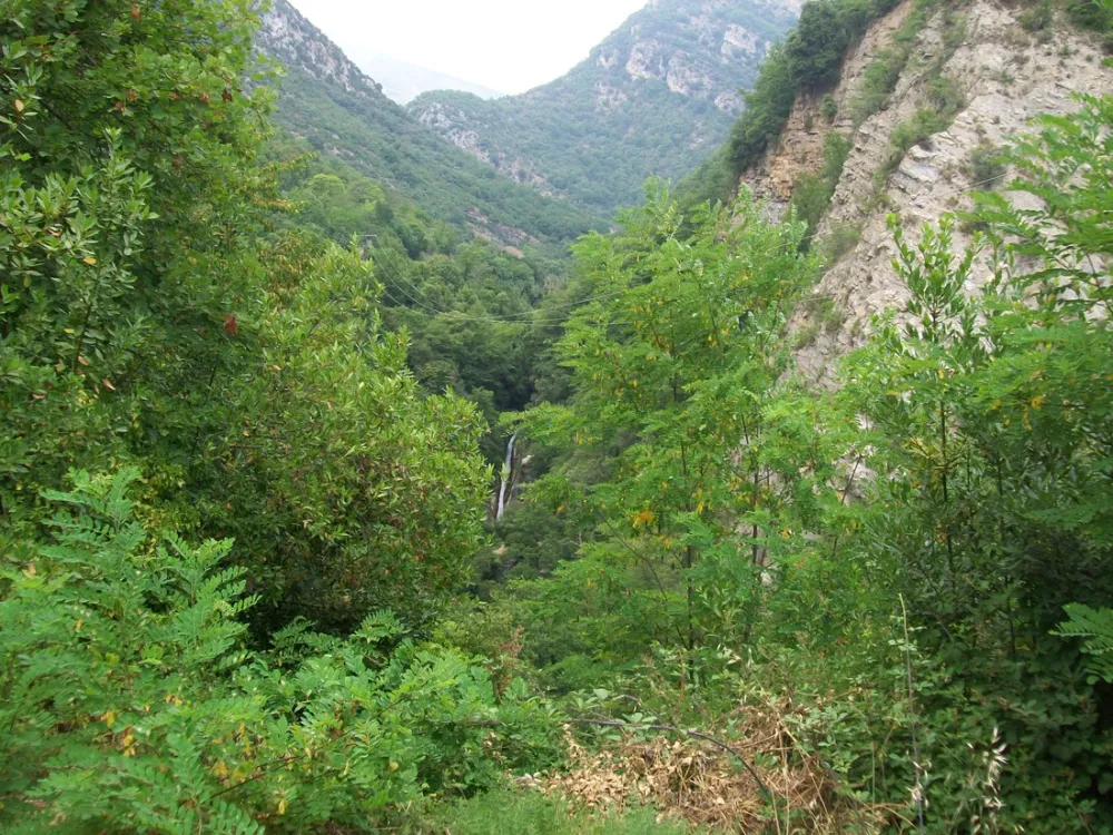 Domaine Sainte Madeleine