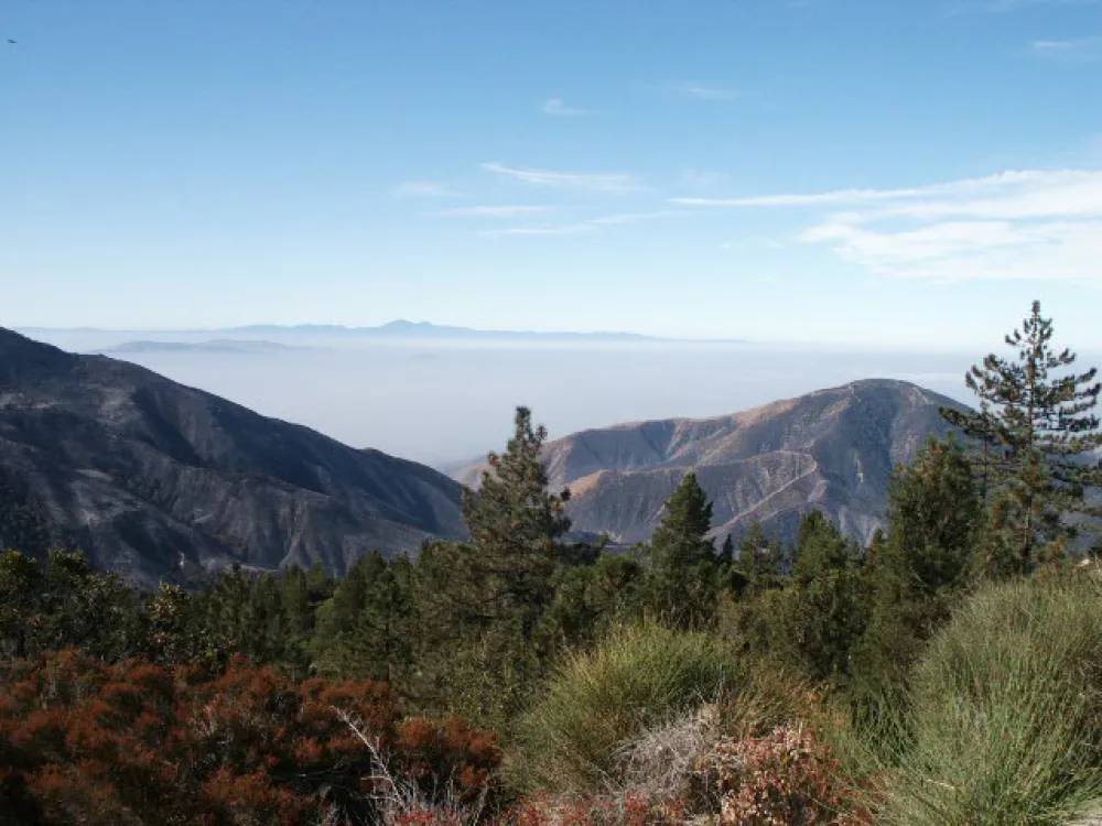 Holloway's Marina & RV Park