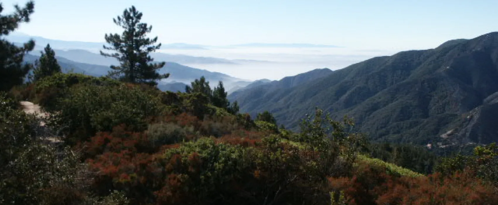 Holloway's Marina & RV Park