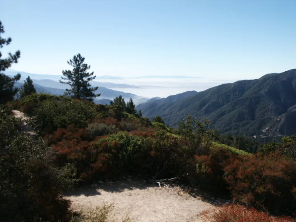 Holloway's Marina & RV Park