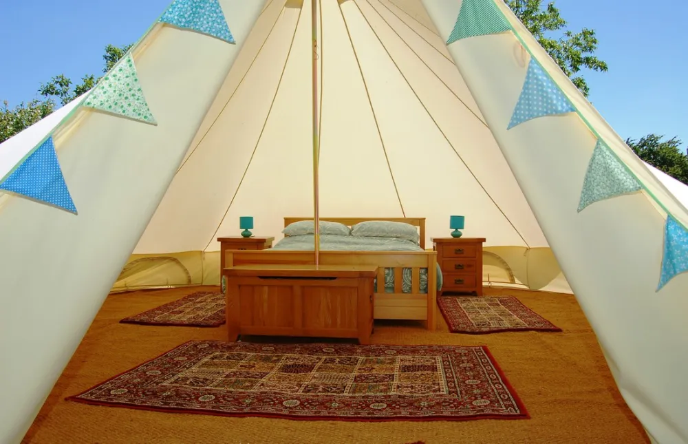 La Foret De Tesse (+ Gites)