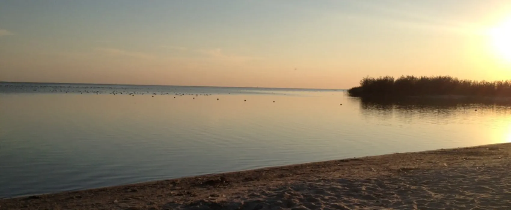 Boerderijcamping de Braamberg
