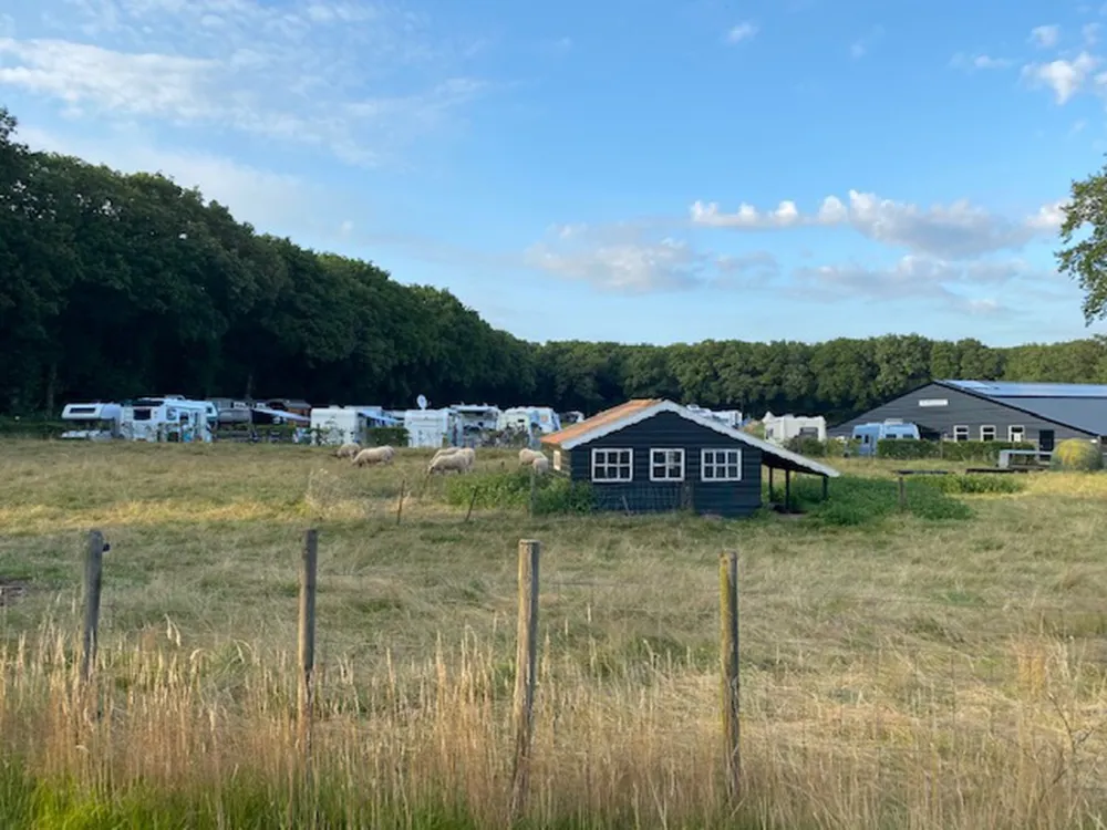 Boerderijcamping de Braamberg