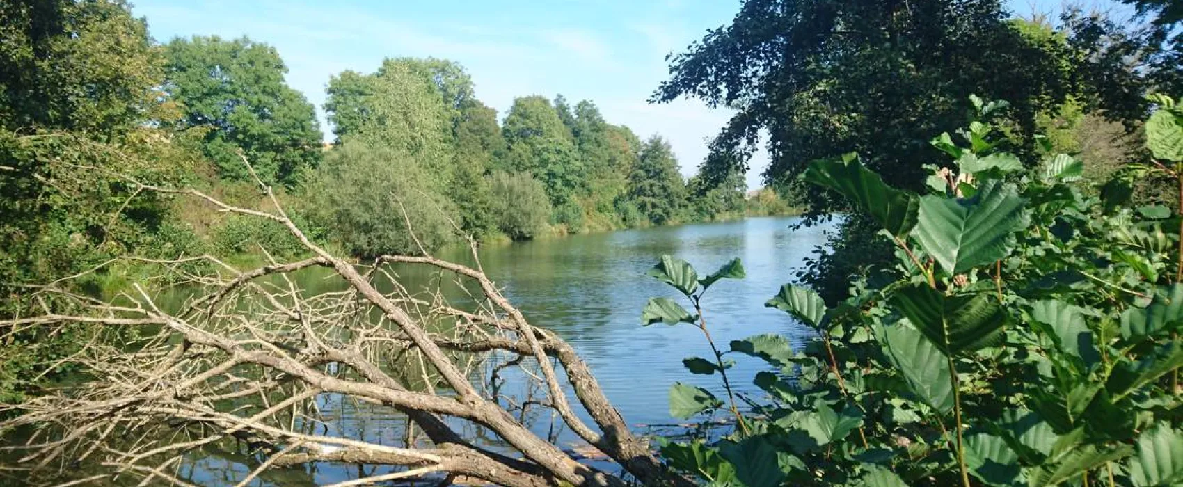 Campingplatz Ringlesmühle