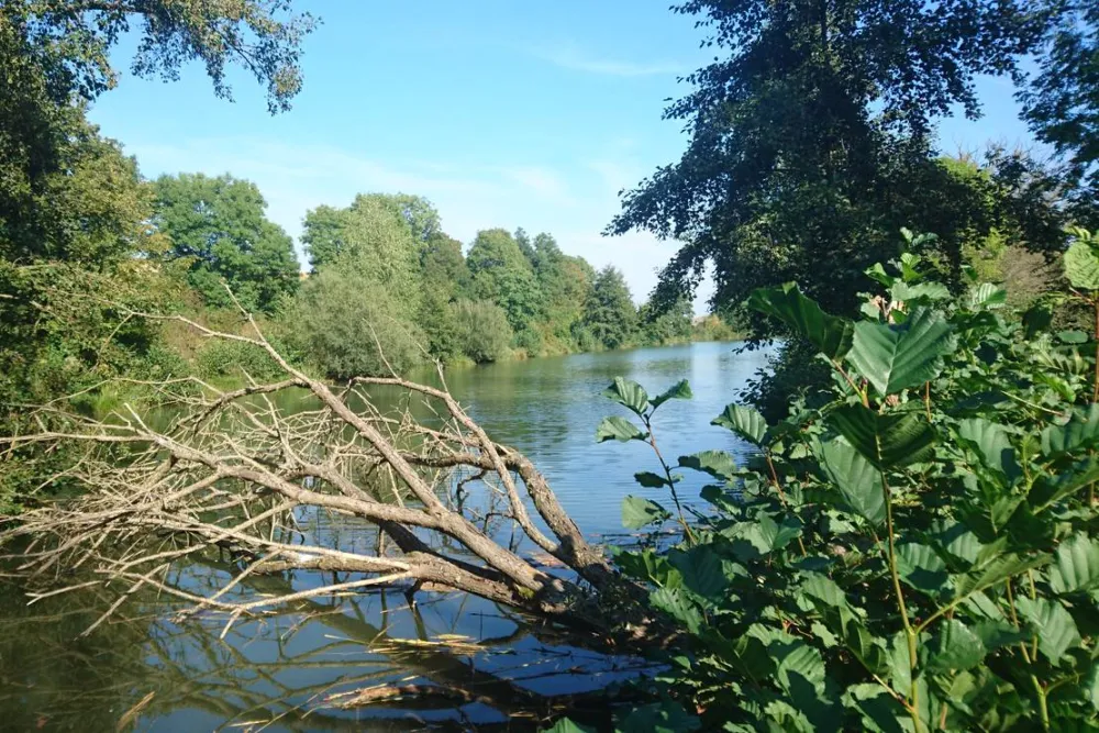 Campingplatz Ringlesmühle