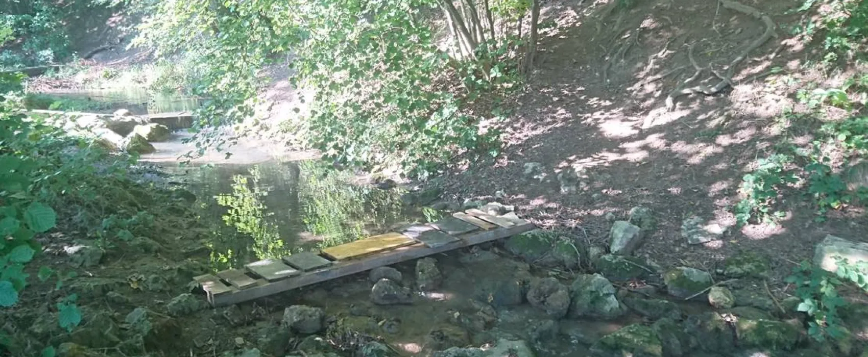 Campingplatz Ringlesmühle