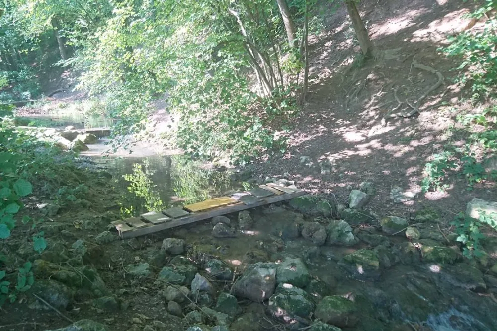 Campingplatz Ringlesmühle