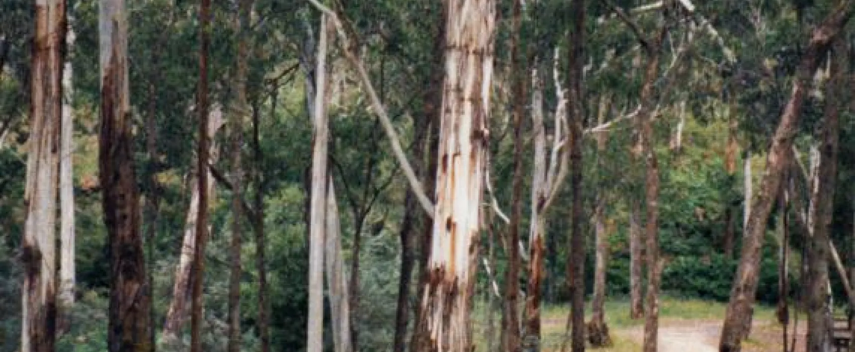 Waterfalls (No 2 Creek) Campground