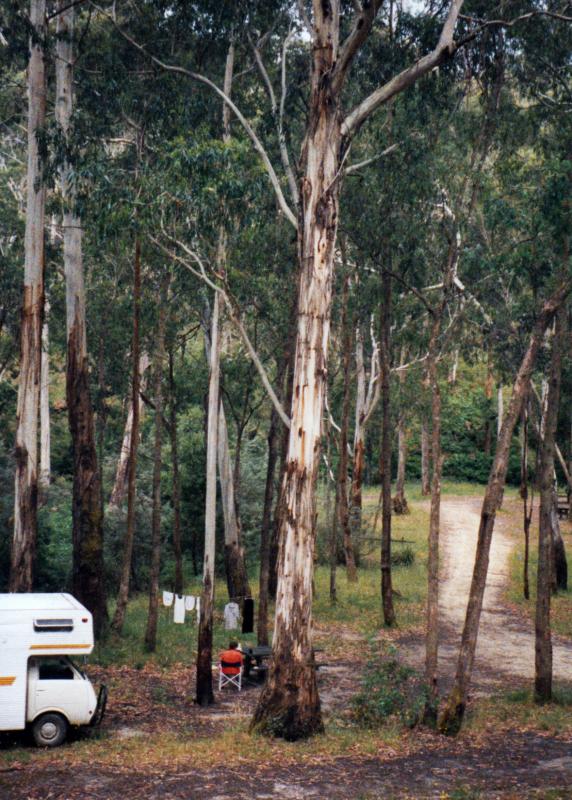 Waterfalls (No 2 Creek) Campground photo 3