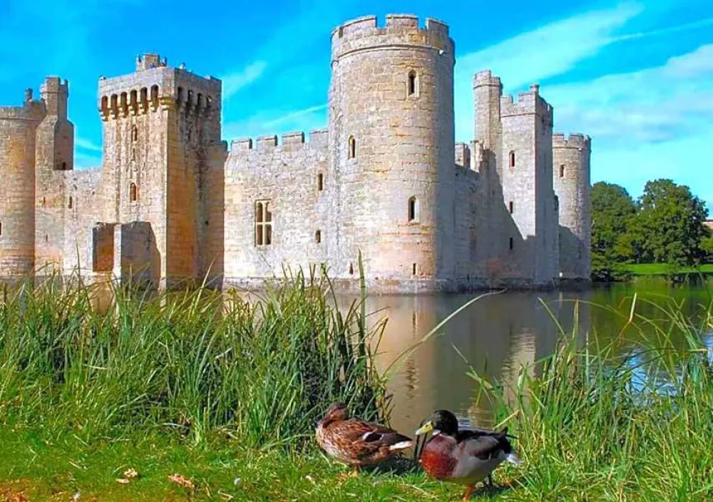 Netherfield Place Farm Camping