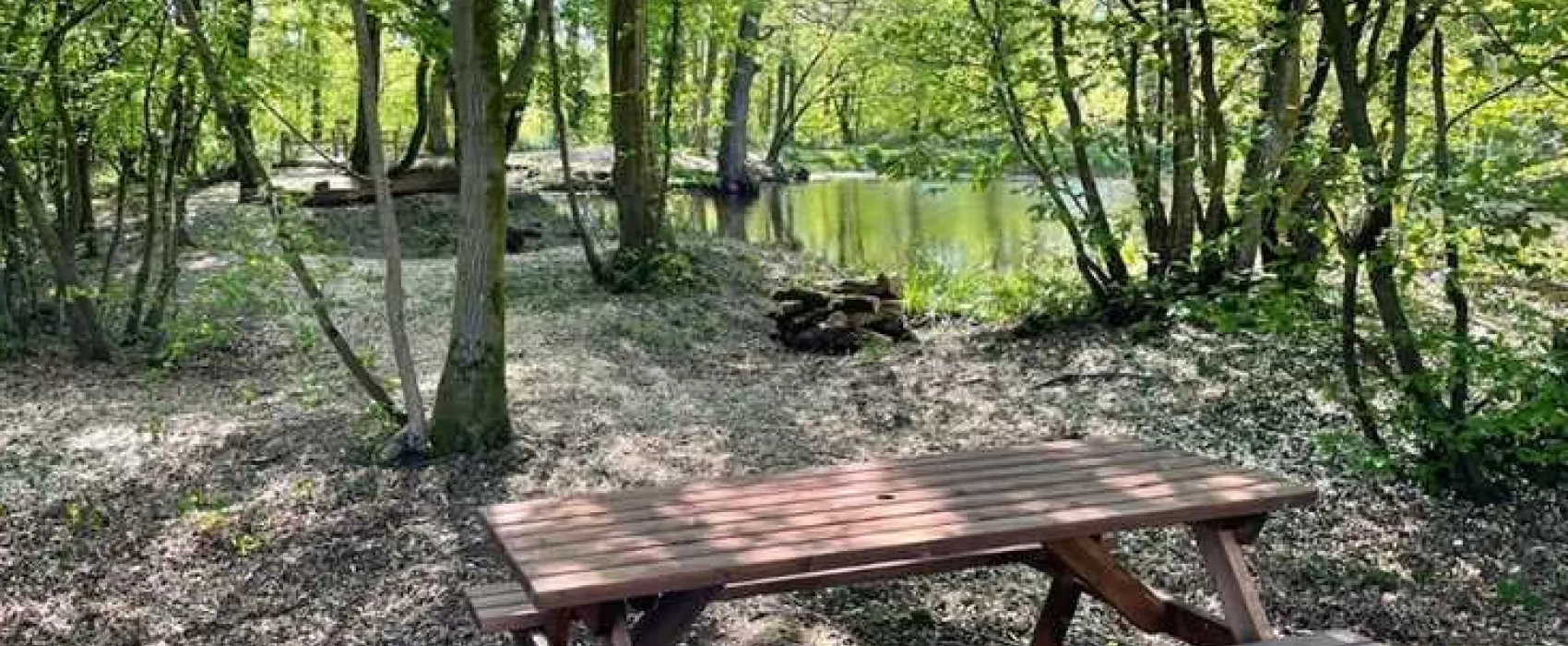 Netherfield Place Farm Camping