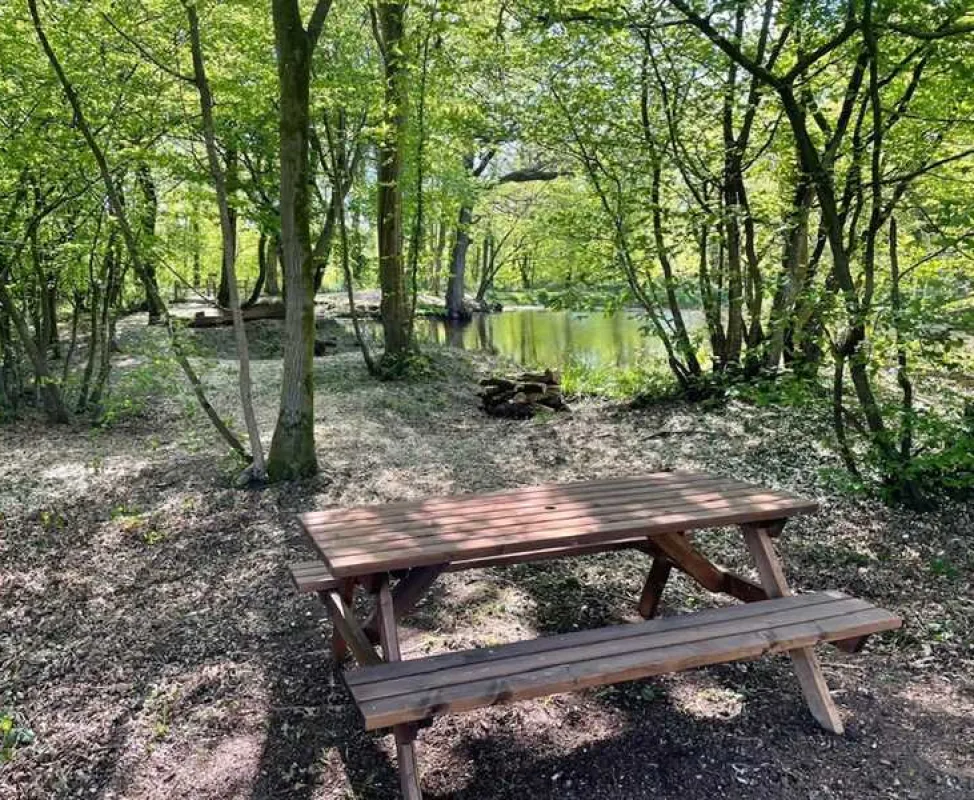 Netherfield Place Farm Camping