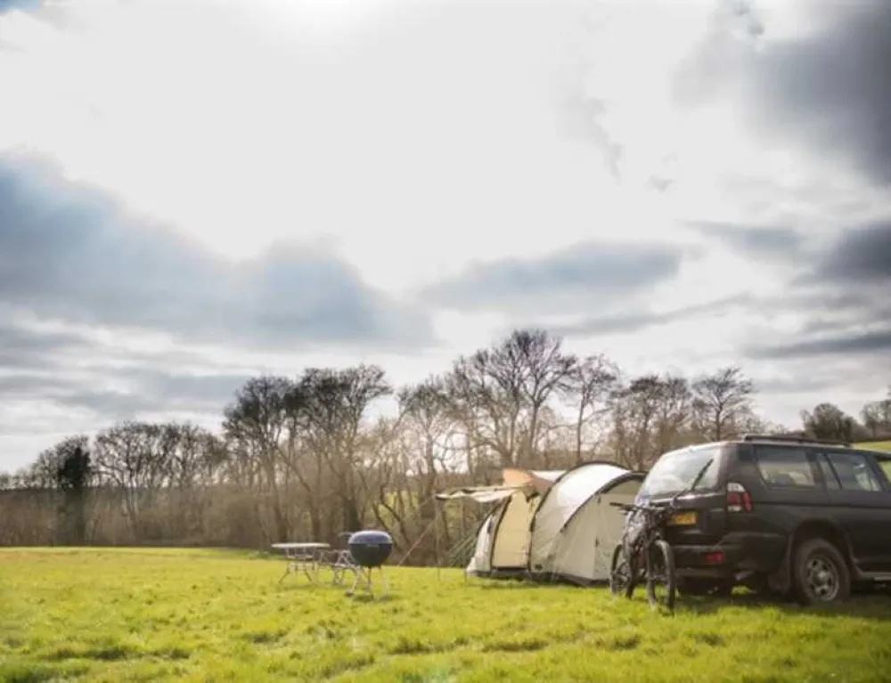 Netherfield Place Farm Camping