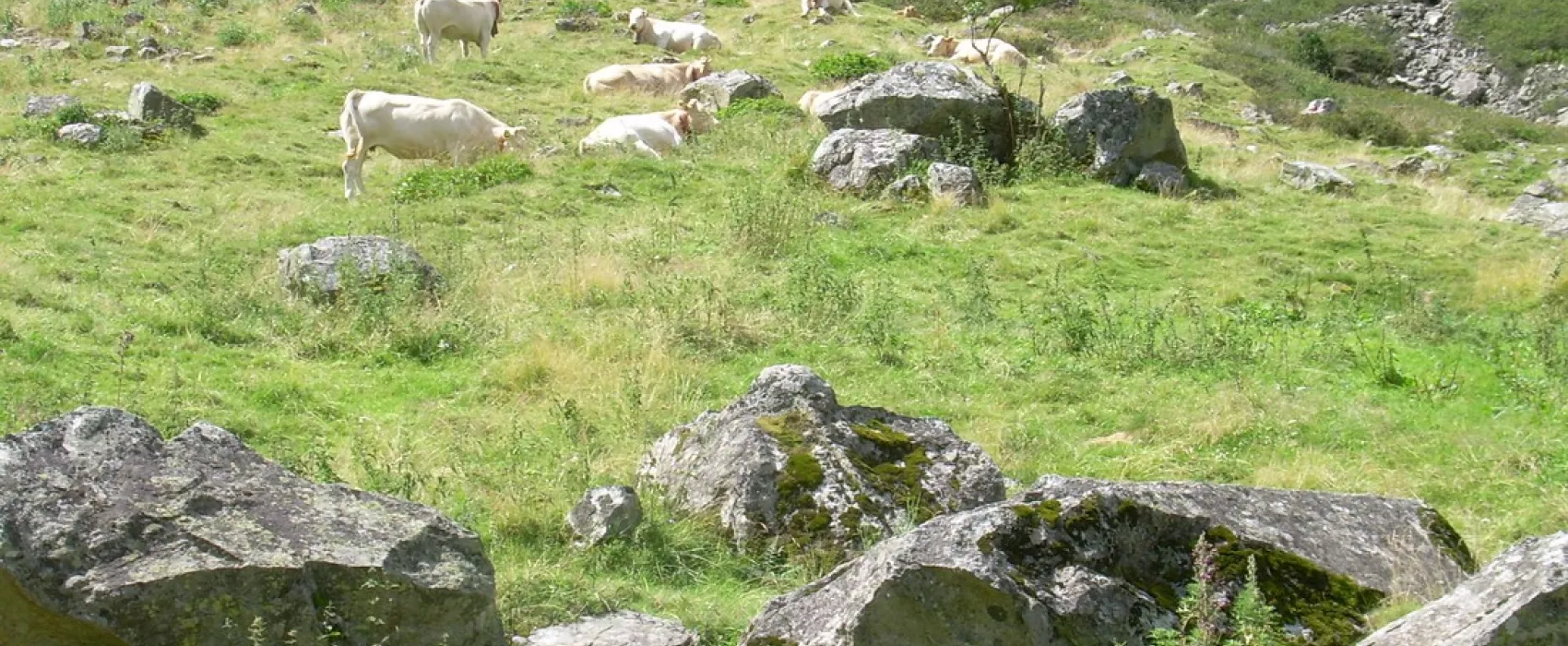 Intercommunal du Lac d'Estaing