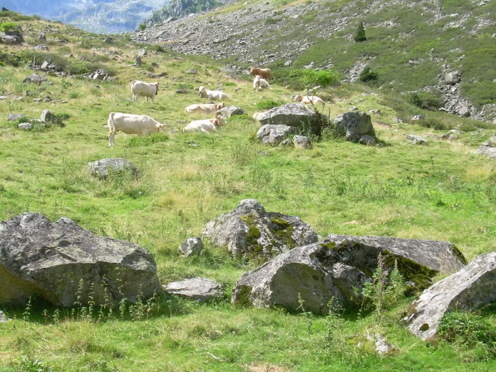 Intercommunal du Lac d'Estaing