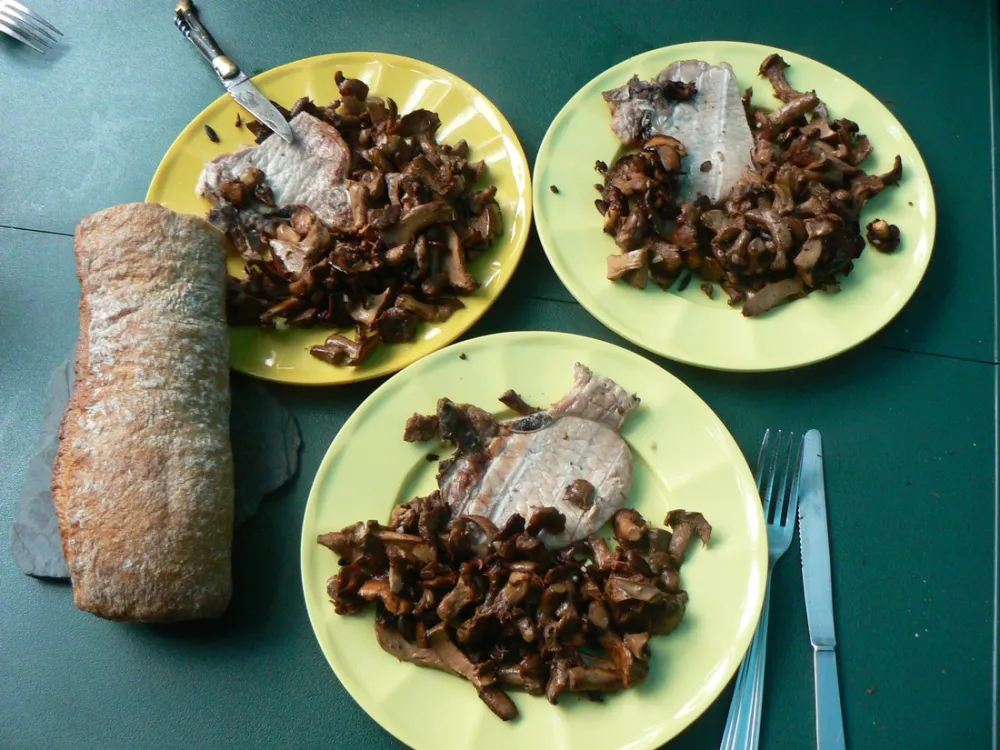 Intercommunal du Lac d'Estaing