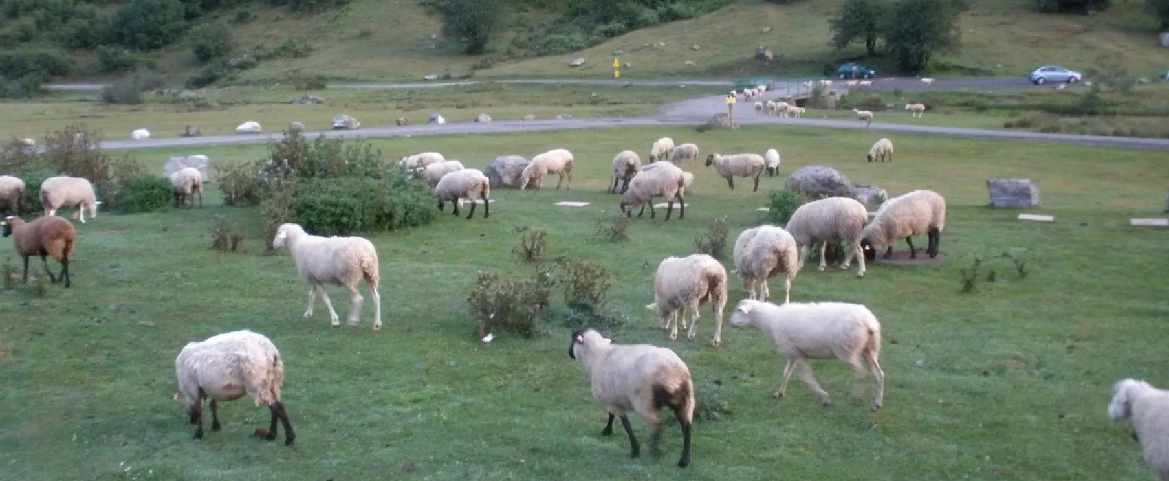 Intercommunal du Lac d'Estaing
