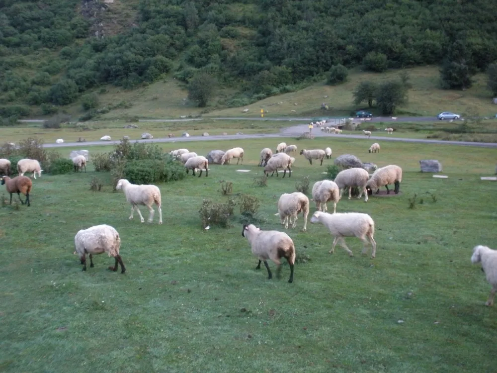 Intercommunal du Lac d'Estaing