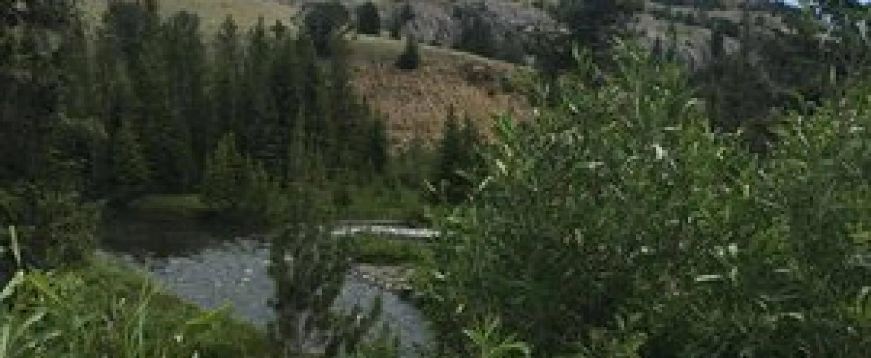 Horse Creek Campground