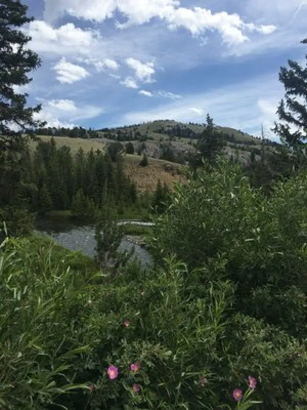 Horse Creek Campground