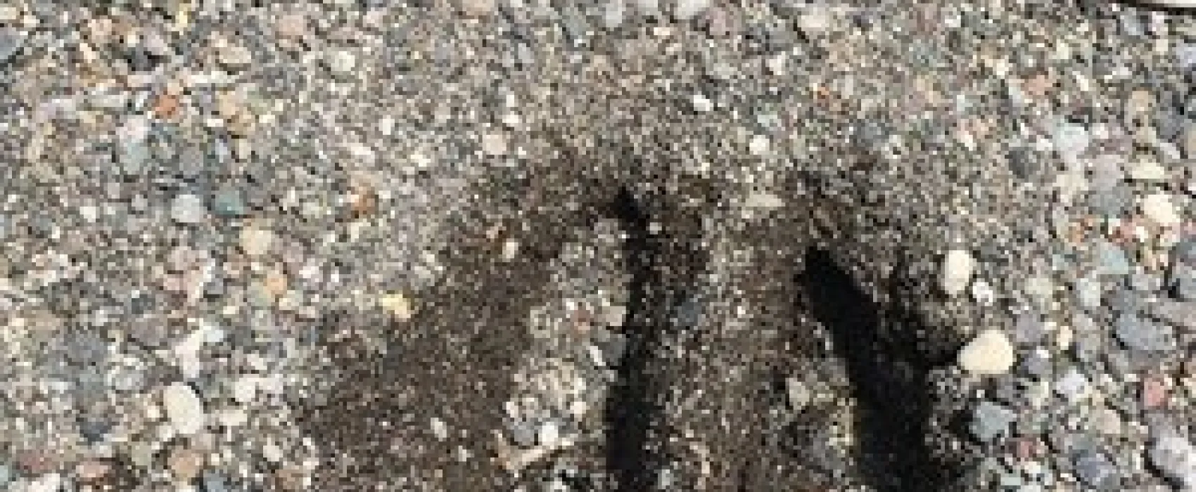 Horse Creek Campground