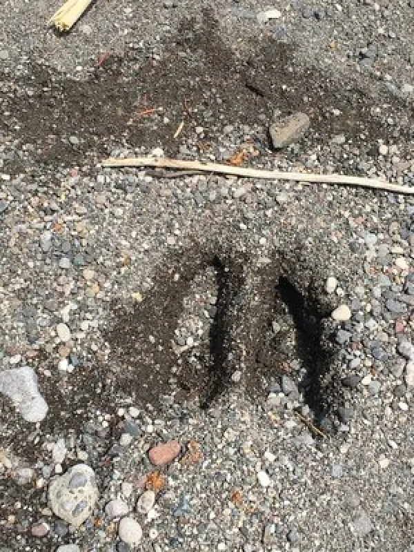 Horse Creek Campground