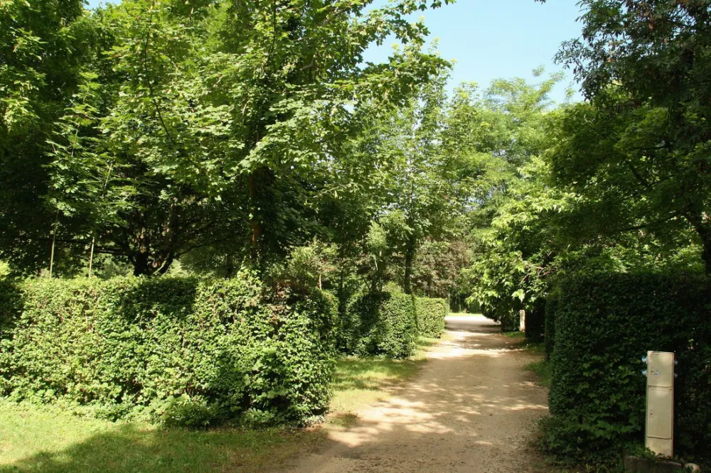 Municipal Les Millieres