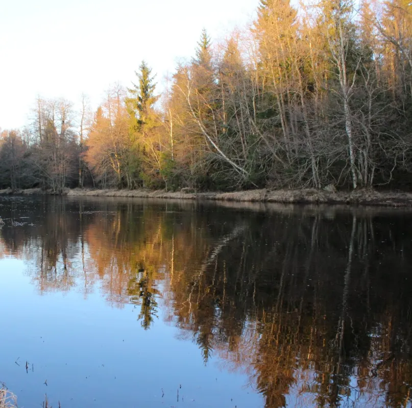 Sexdrega Hembygdsförening