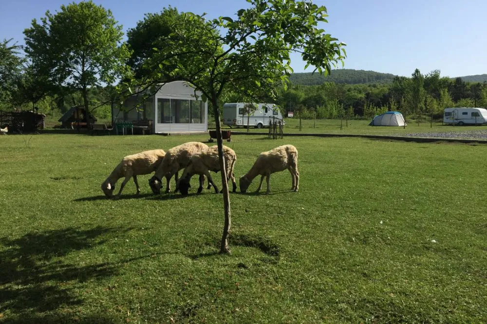 İstanbul Camper Village / İstanbul Karavan Köyü
