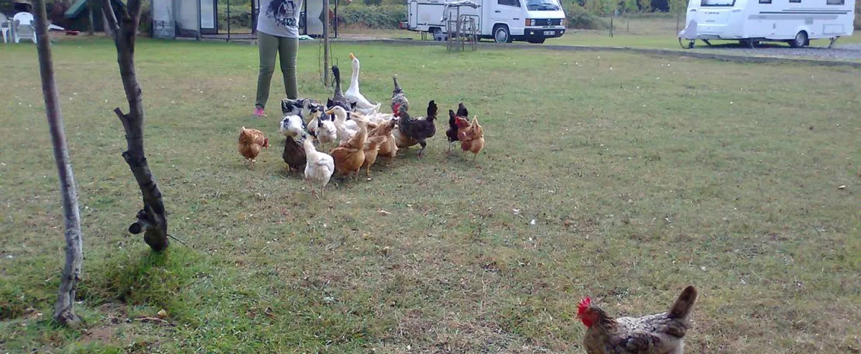 İstanbul Camper Village / İstanbul Karavan Köyü